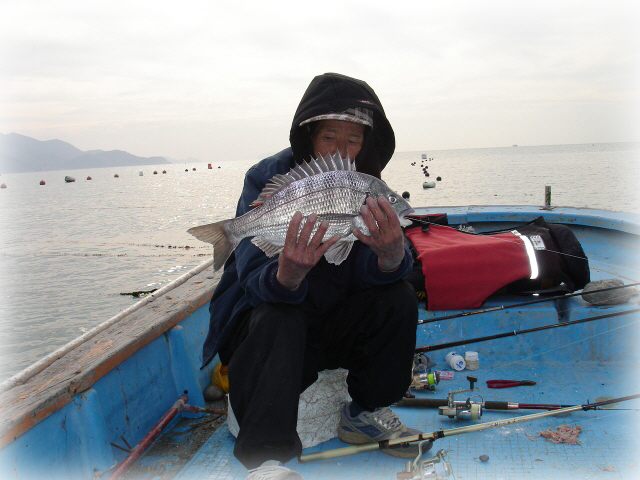 fish20081213-1.jpg