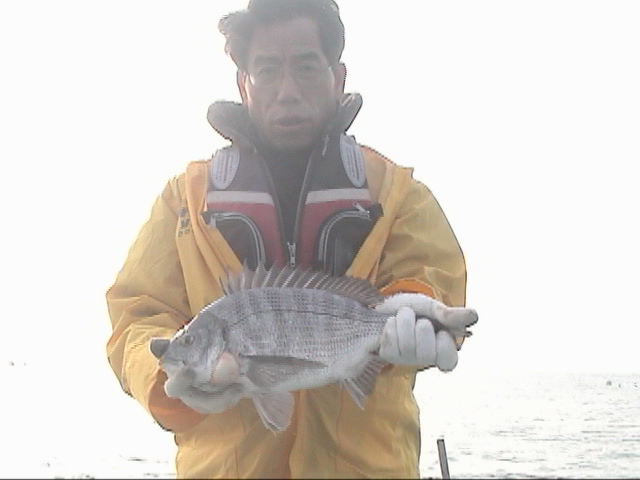 fish20081225-2.jpg